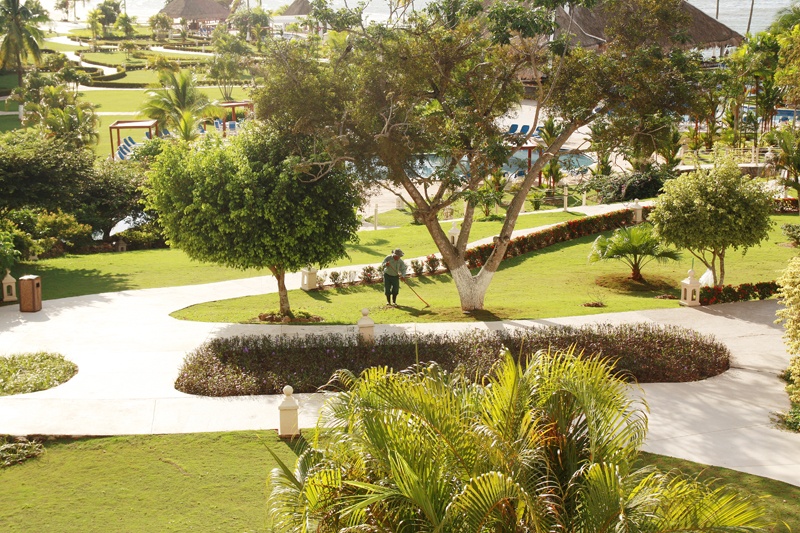 Landschaftsarchitektur studieren – Leben mit Kind