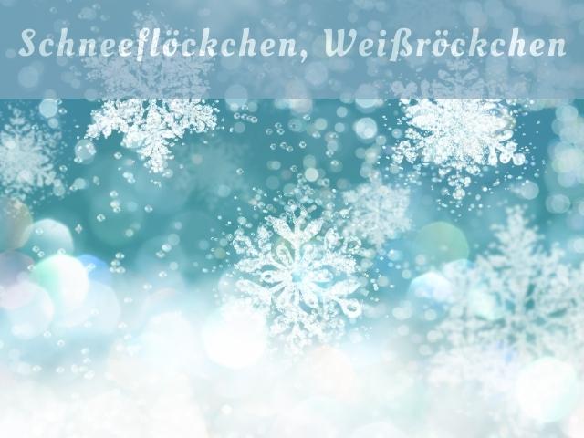 Schneeflöckchen, Weißröckchen