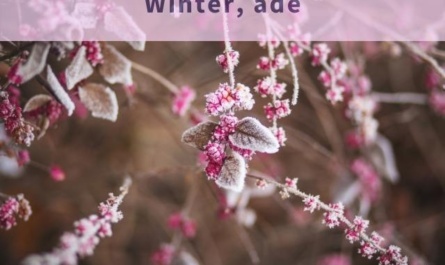 Winter ade von Hoffmann von Fallersleben