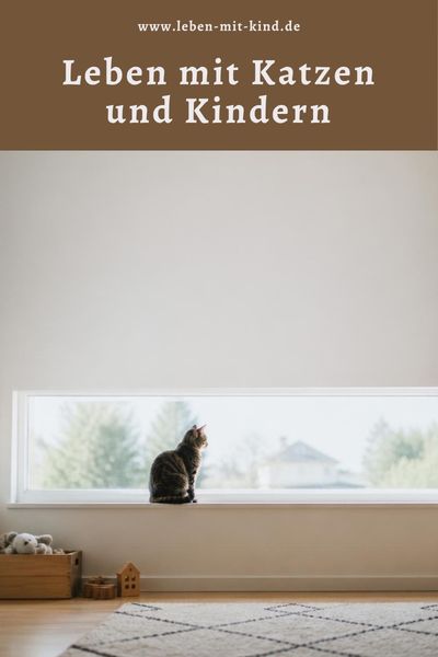Leben mit Katzen und Kindern